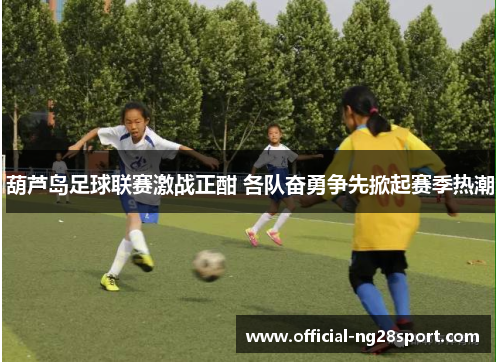 葫芦岛足球联赛激战正酣 各队奋勇争先掀起赛季热潮